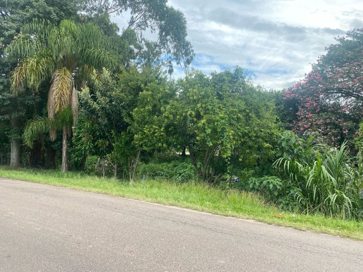 Moradores do Guabirotuba aguardam desde agosto reparo para conter erosão no Canal Belém