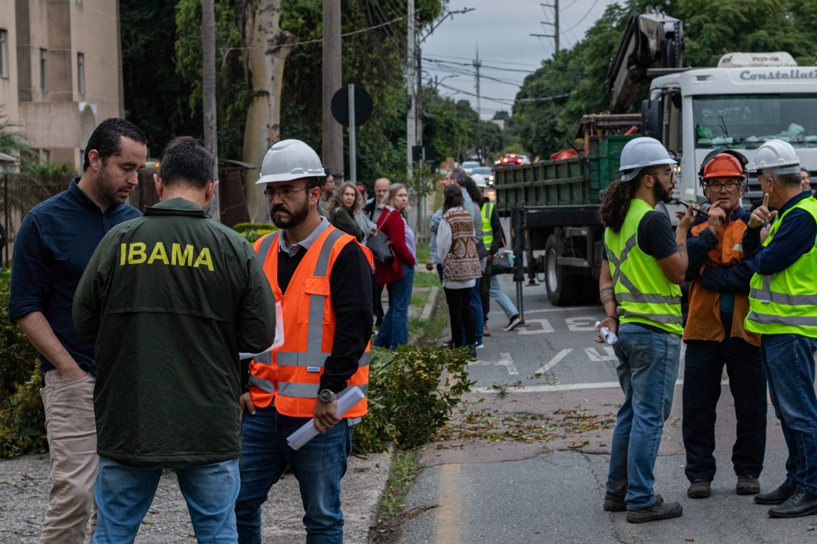 Empresa começa a cortar árvores na região da Arthur Bernardes mas é impedida pelo Ibama