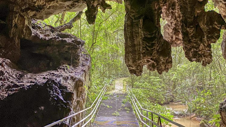 caverna 