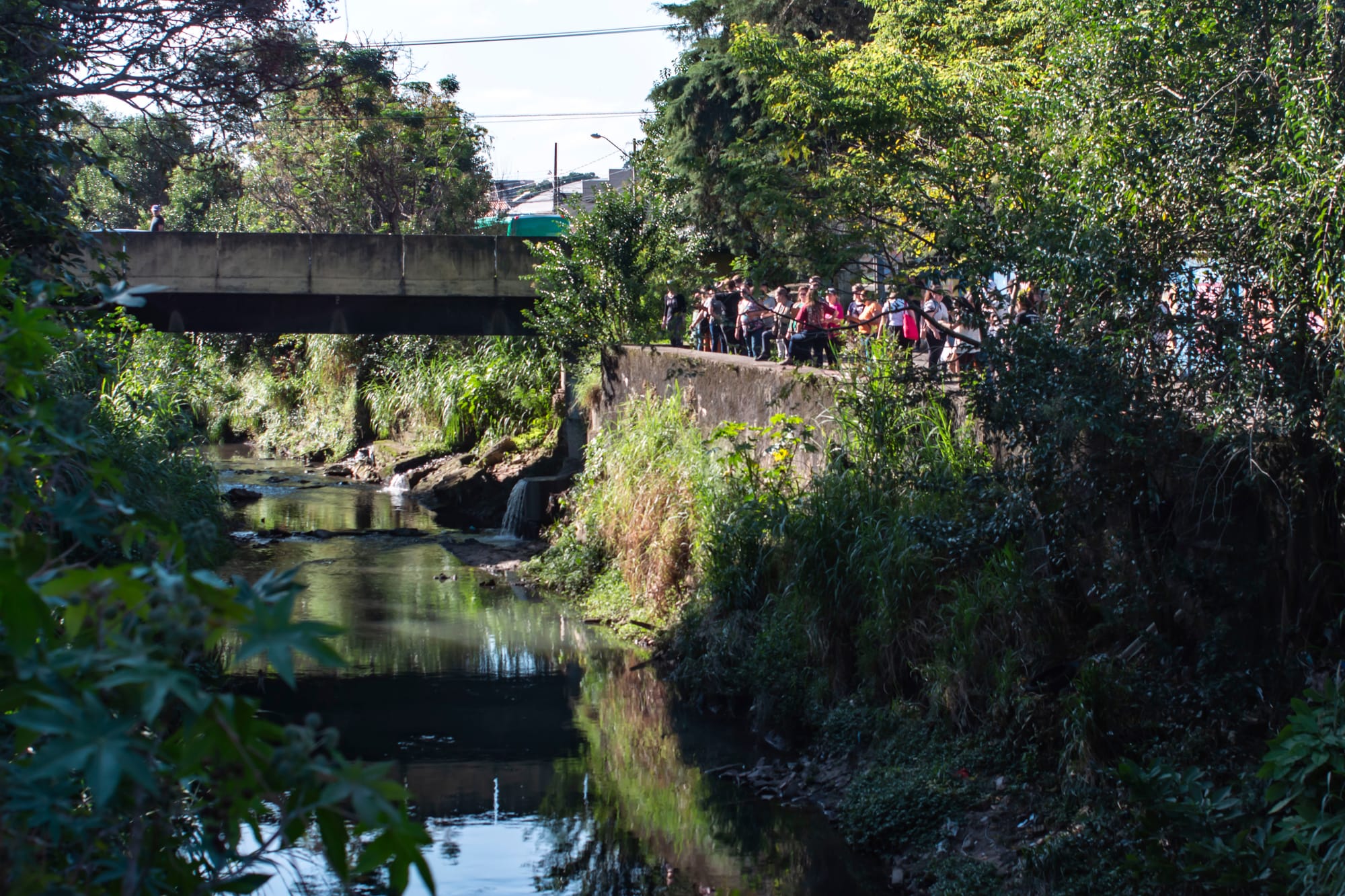 Água de 80% dos rios de Curitiba tem qualidade ruim e péssima