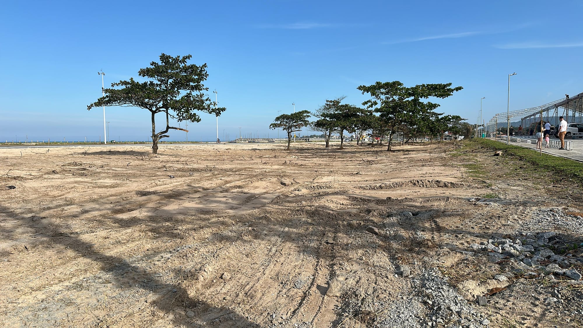 Ibama multa prefeitura de Matinhos em R$ 69 mil por corte irregular de restinga
