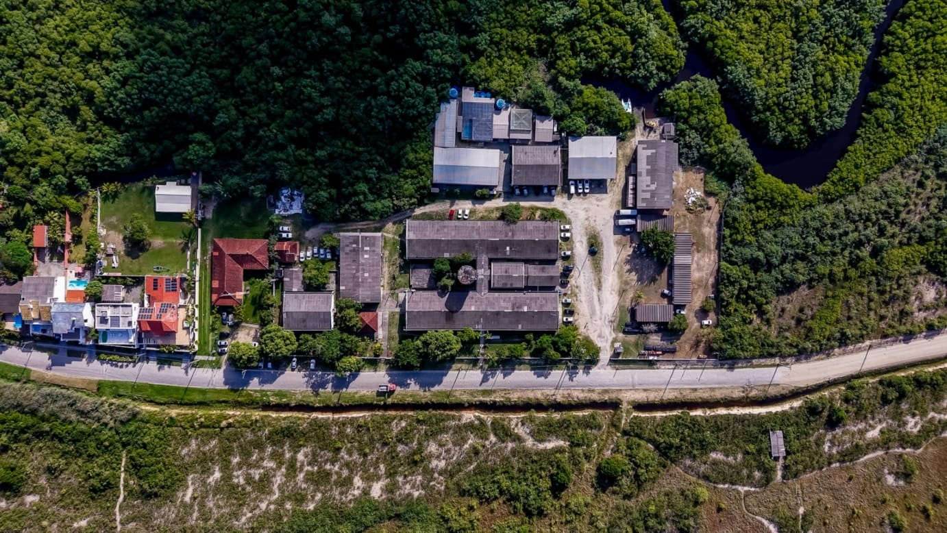 Estudo da UFPR mostra degradação em 36% da área de restinga em Pontal do Paraná
