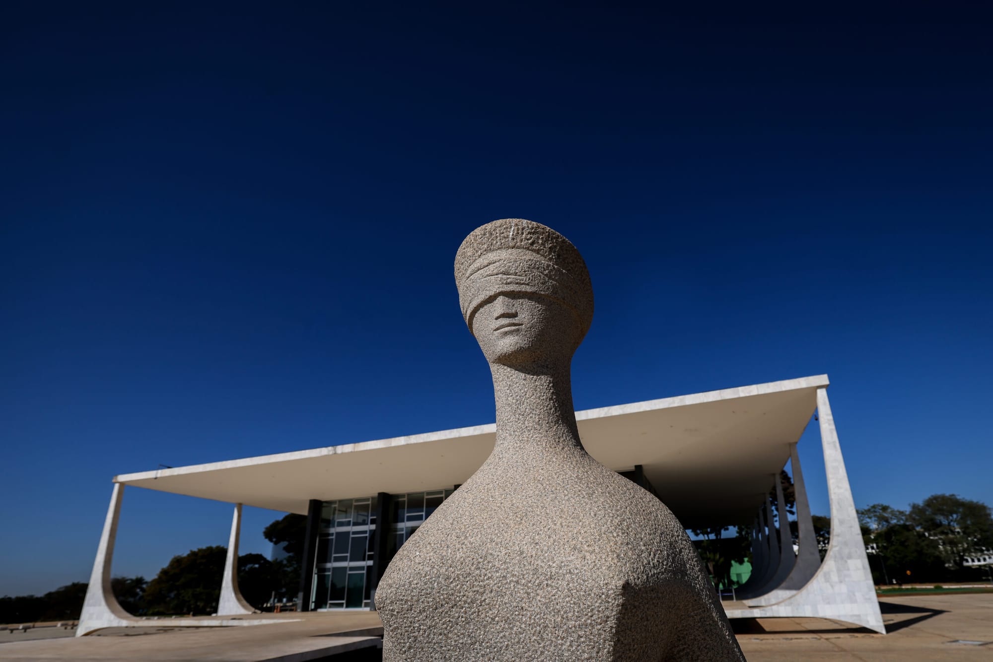 Supremo Tribunal Federal e ativismo judicial: limites e possibilidades no Estado Democrático