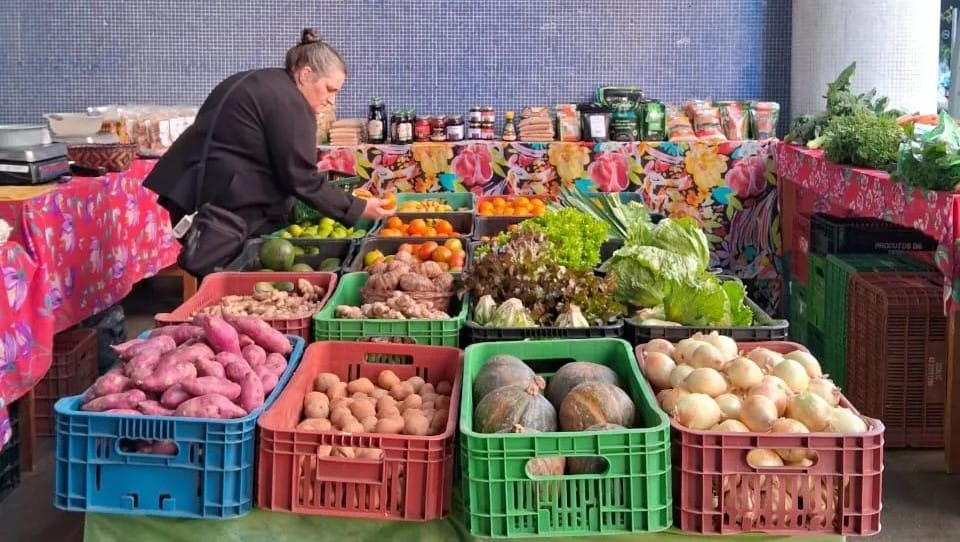 alimentos in natura