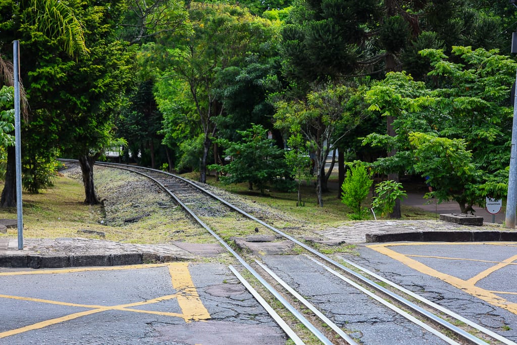 Em novo acidente, trem arranca dedo e quebra dentes de garoto autista em Curitiba