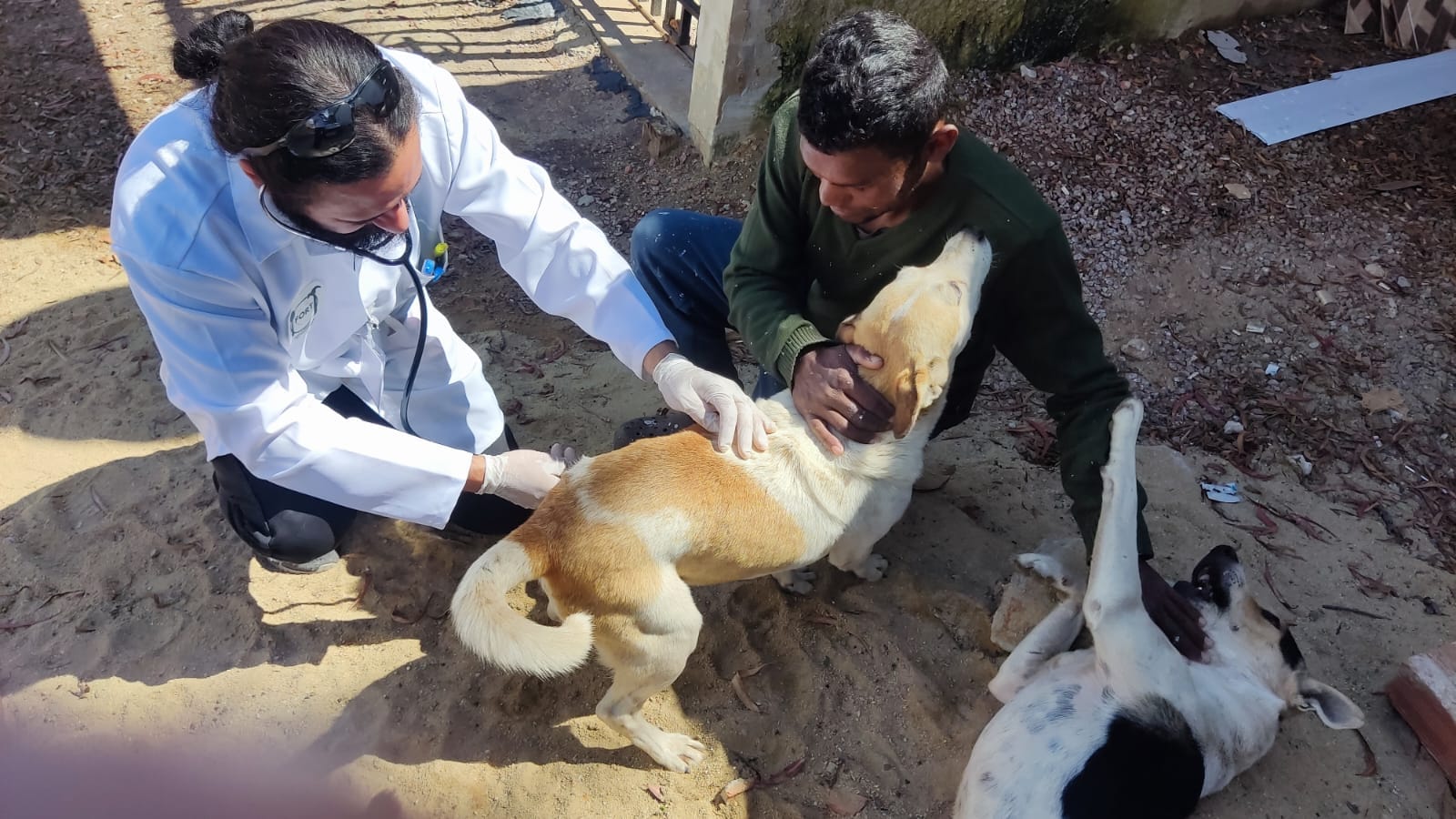 Elas são as guardiãs dos pets da periferia