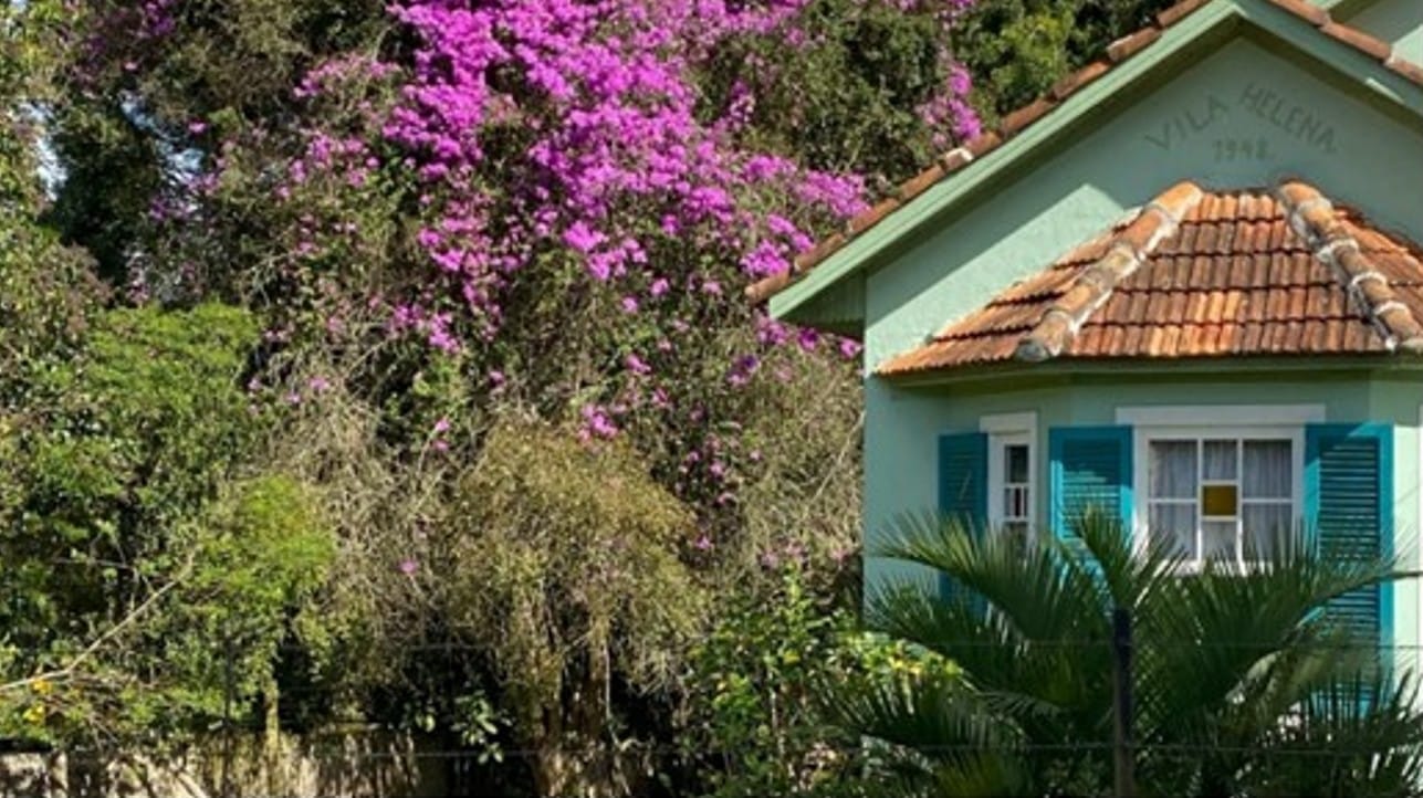 casa verde com flores rosas