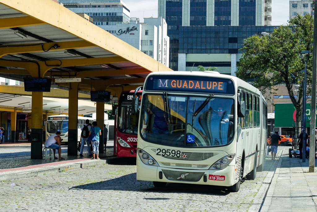 onibus bege