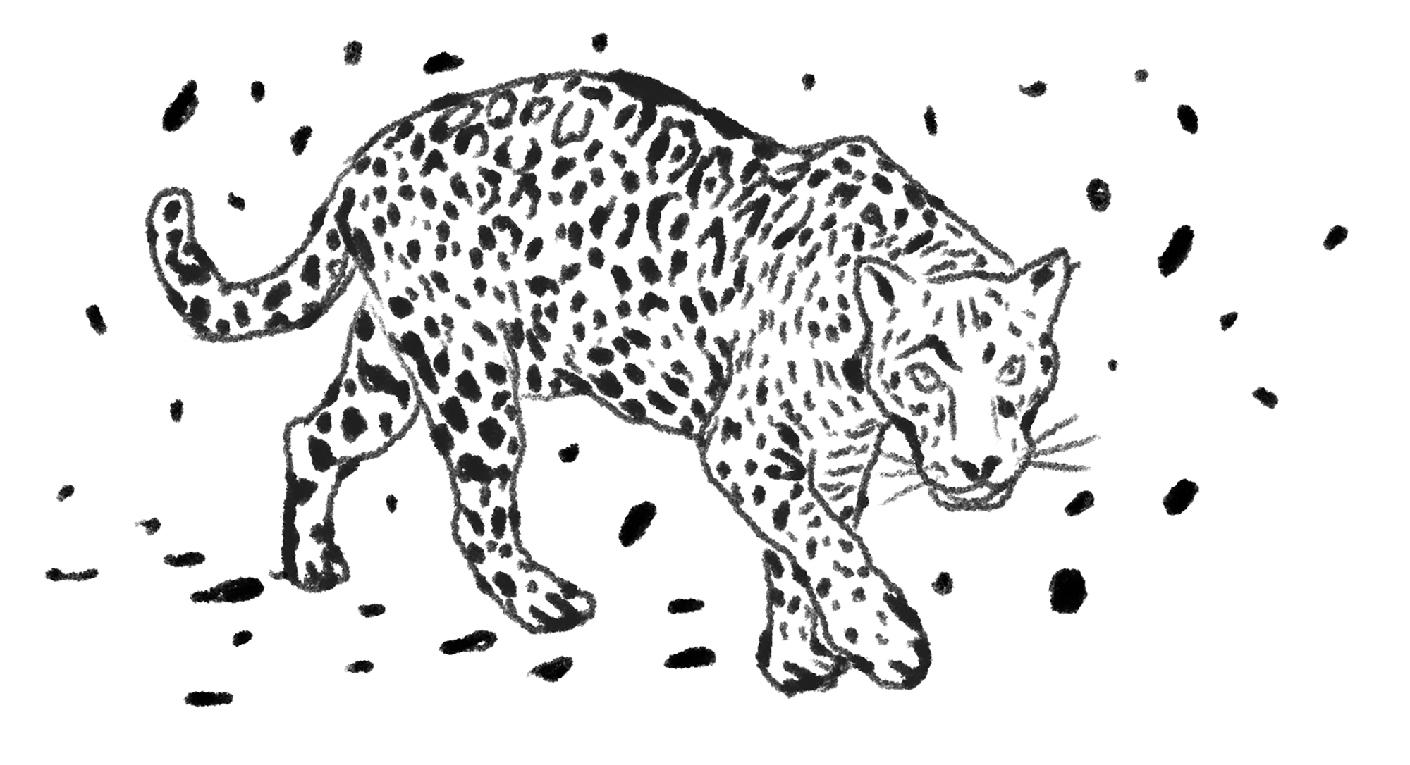 A caçada