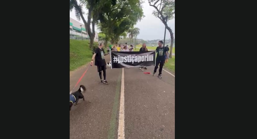 pessoas com cachorros no barigui