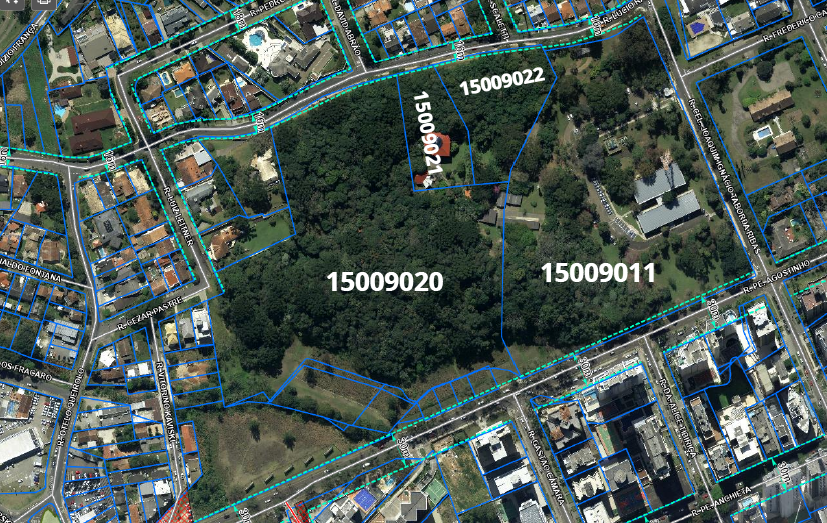 Prefeitura de Curitiba e Copel silenciam sobre futuro de bosque no bairro Bigorrilho