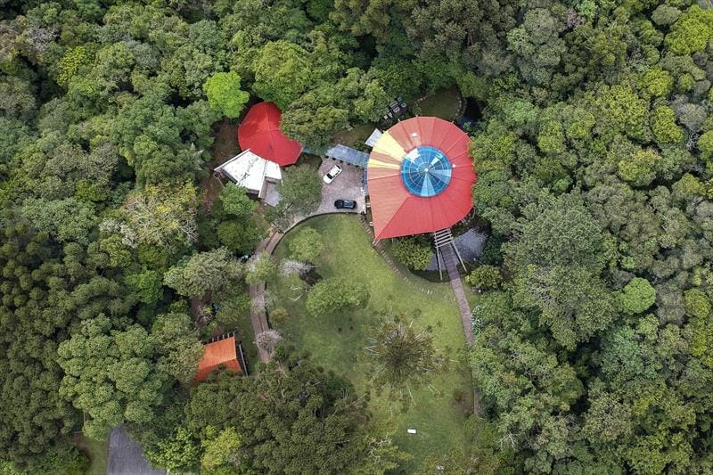 Copel confirma que vendeu área de bosque no Bigorrilho em setembro de 2024