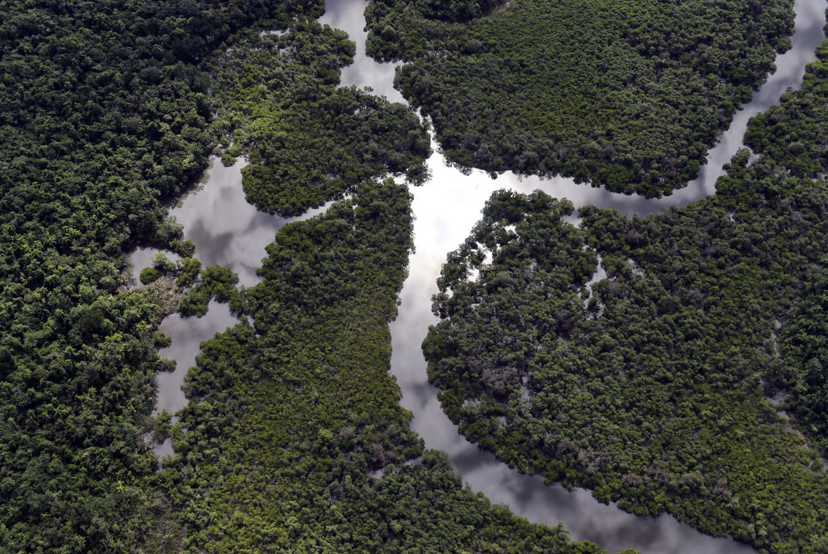 Restaurar a Mata Atlântica não é agenda de carbono, mas estratégia de adaptação climática, diz especialista