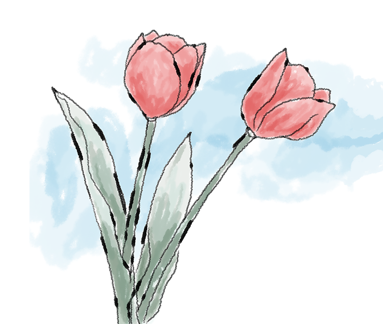 Flores de aromas