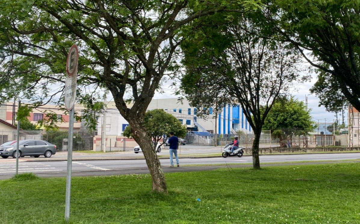 foto de grama e semáforo