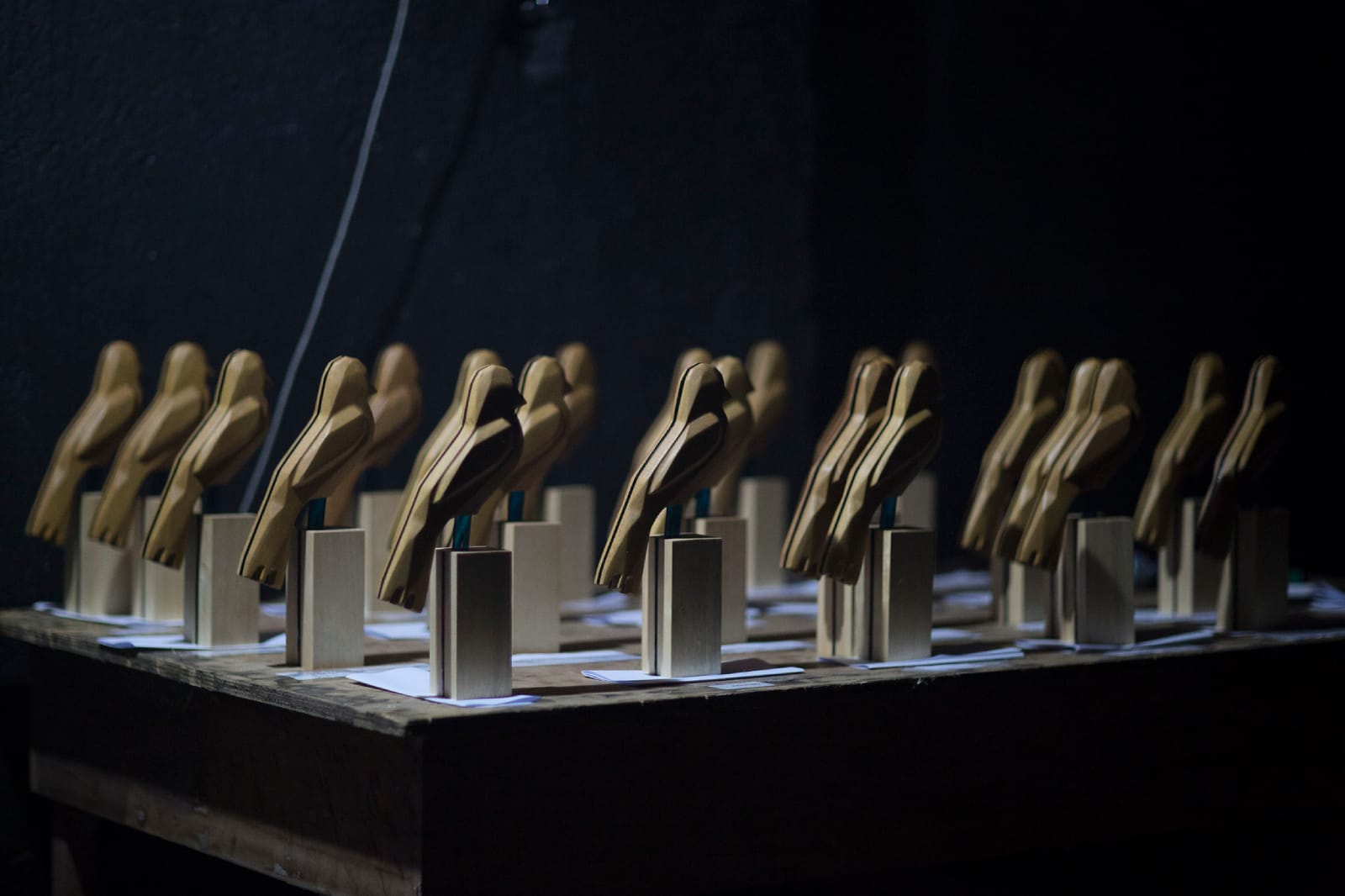 Veja os resultados do primeiro Troféu Gralha Azul com ações afirmativas
