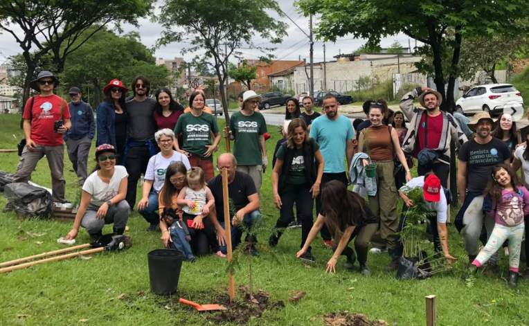 Coletivo 1 Milhão de Árvores realiza nova ação de plantio de mudas em Curitiba
