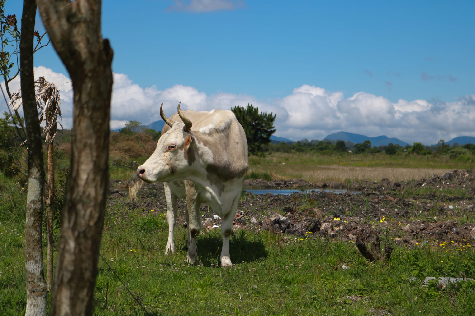 Retratos de uma Piraquara rural mostram um cotidiano acolhedor