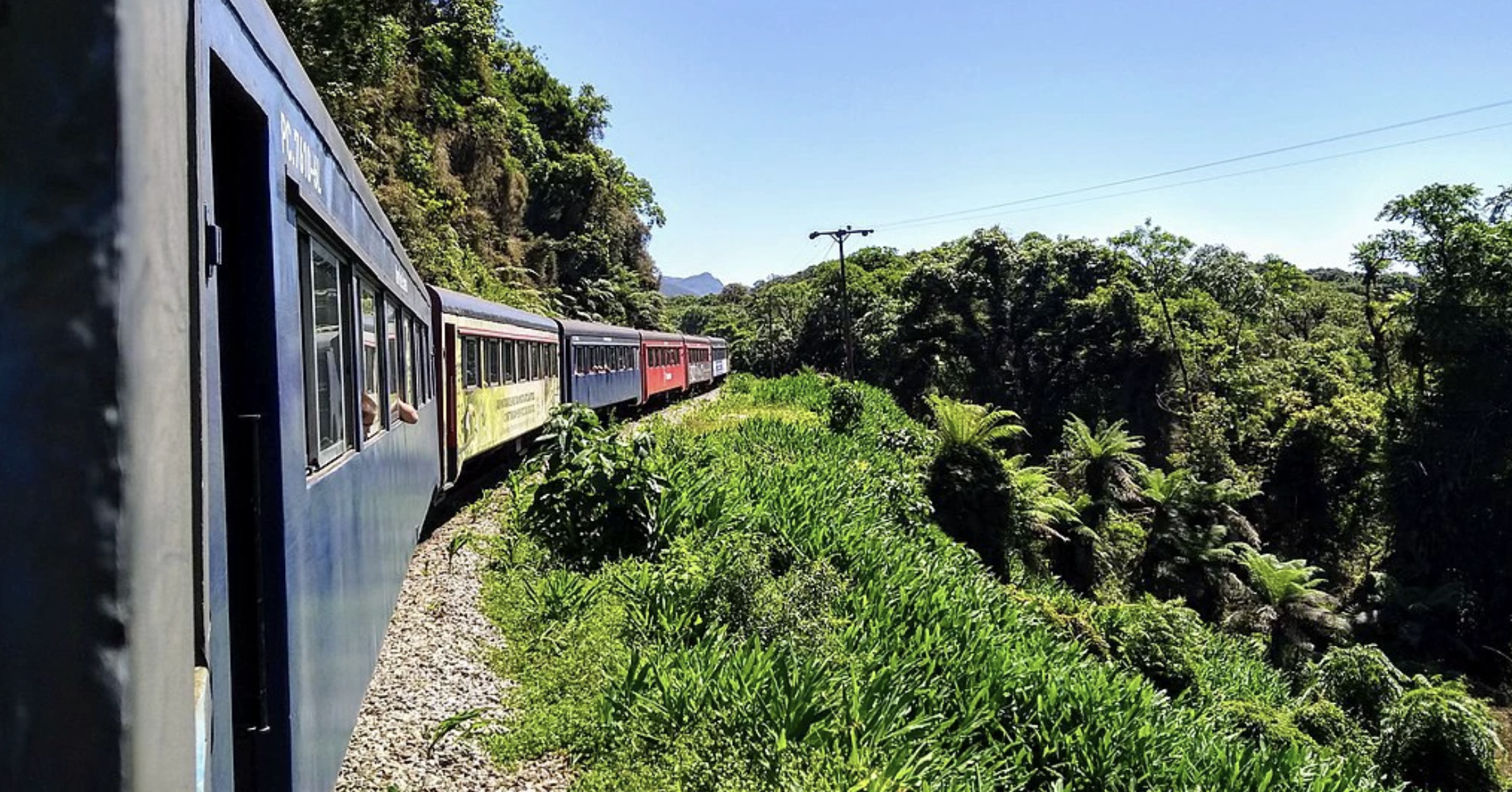 Foto mostra vagões de trem adentrado área de mata atlântica