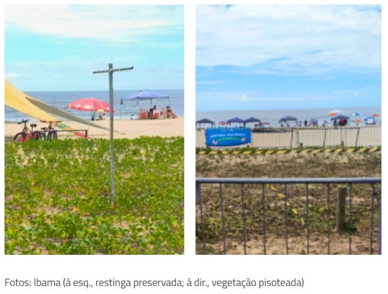 MPF manifesta preocupação com restinga da orla de Matinhos por causa do “Verão Maior Paraná”