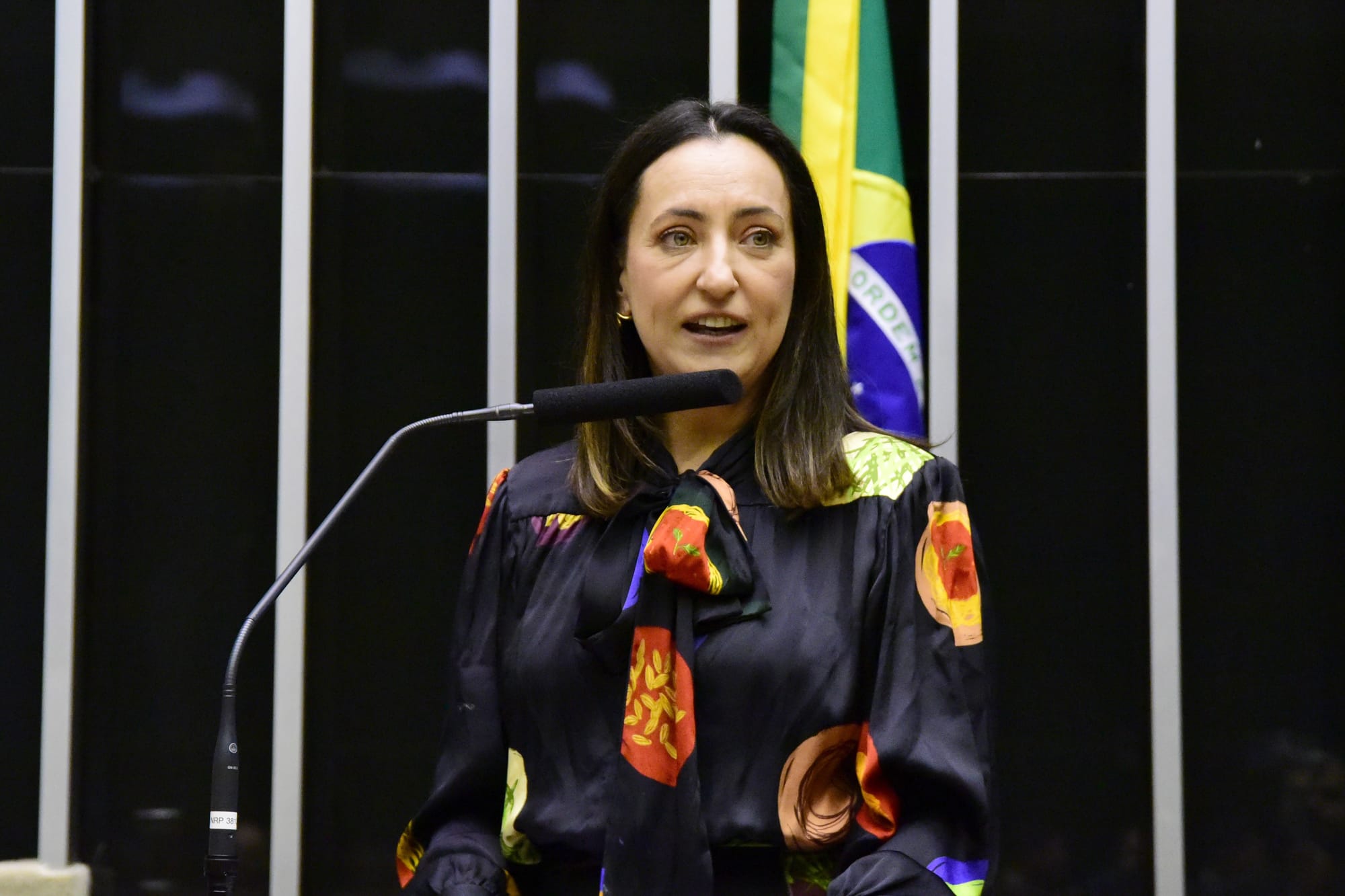 Agora candidata pelo Paraná, Rosangela Moro é aposta do União para aumentar bancada federal
