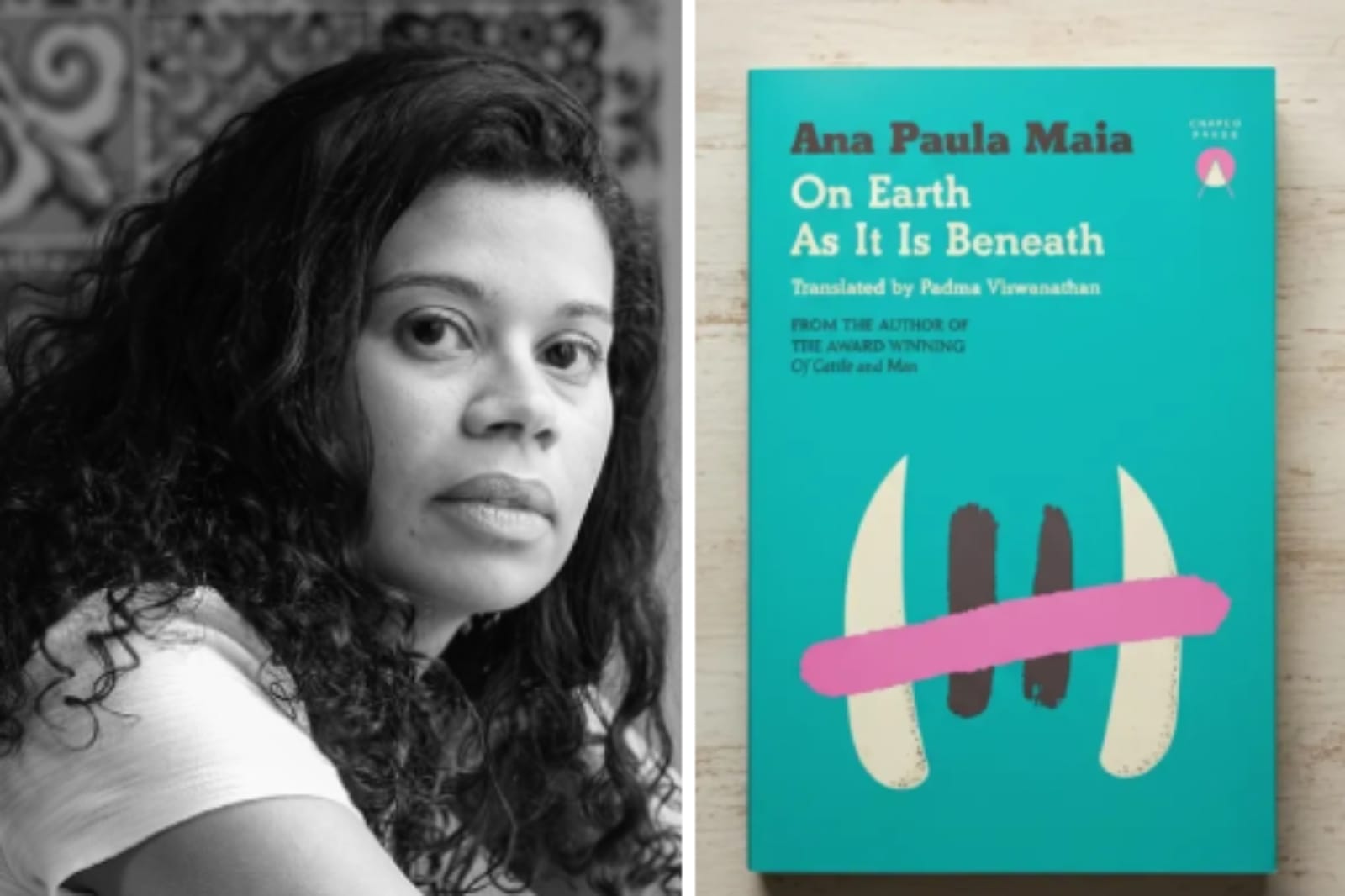Ana Paula Maia é a primeira mulher brasileira na semifinal do International Booker Prize