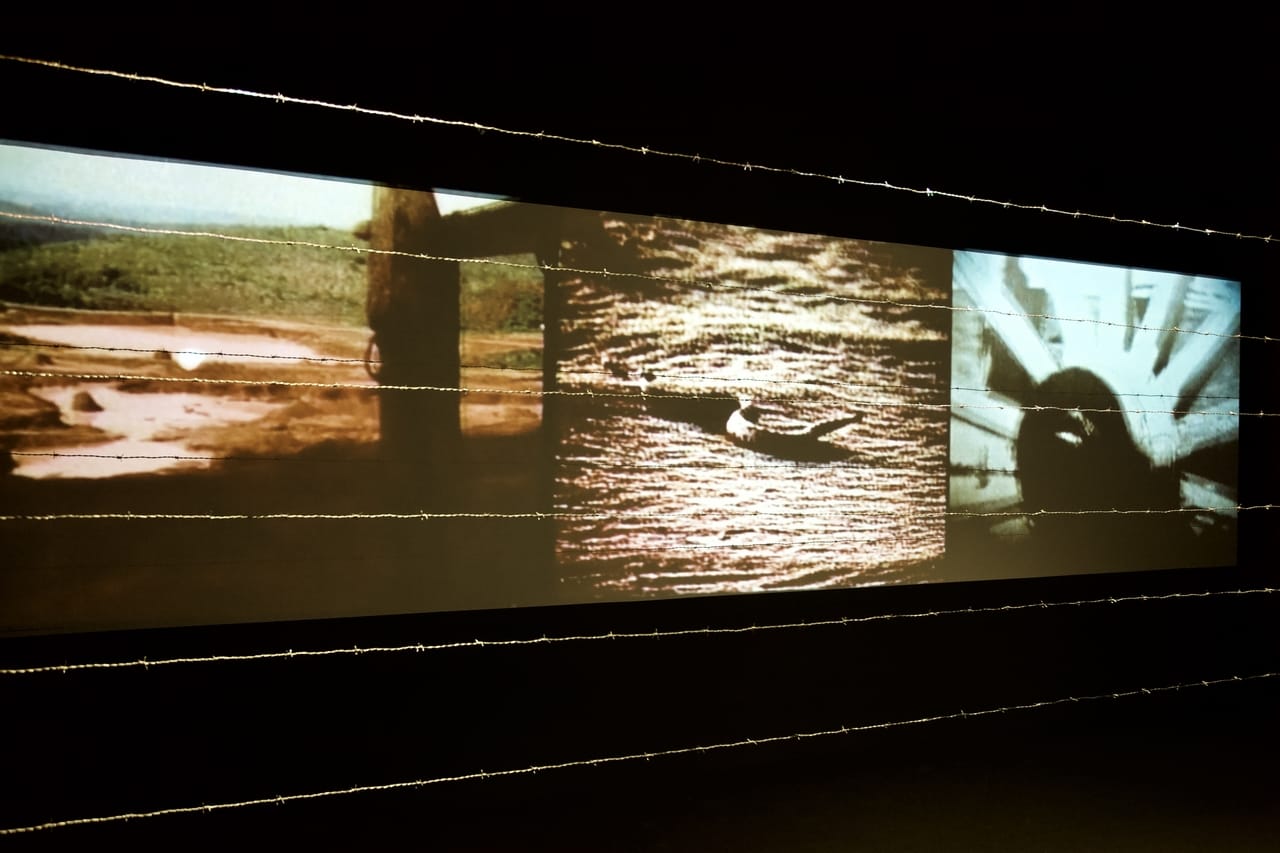 Eder Santos exibe obras de videoarte em exposição gratuita inédita em Curitiba