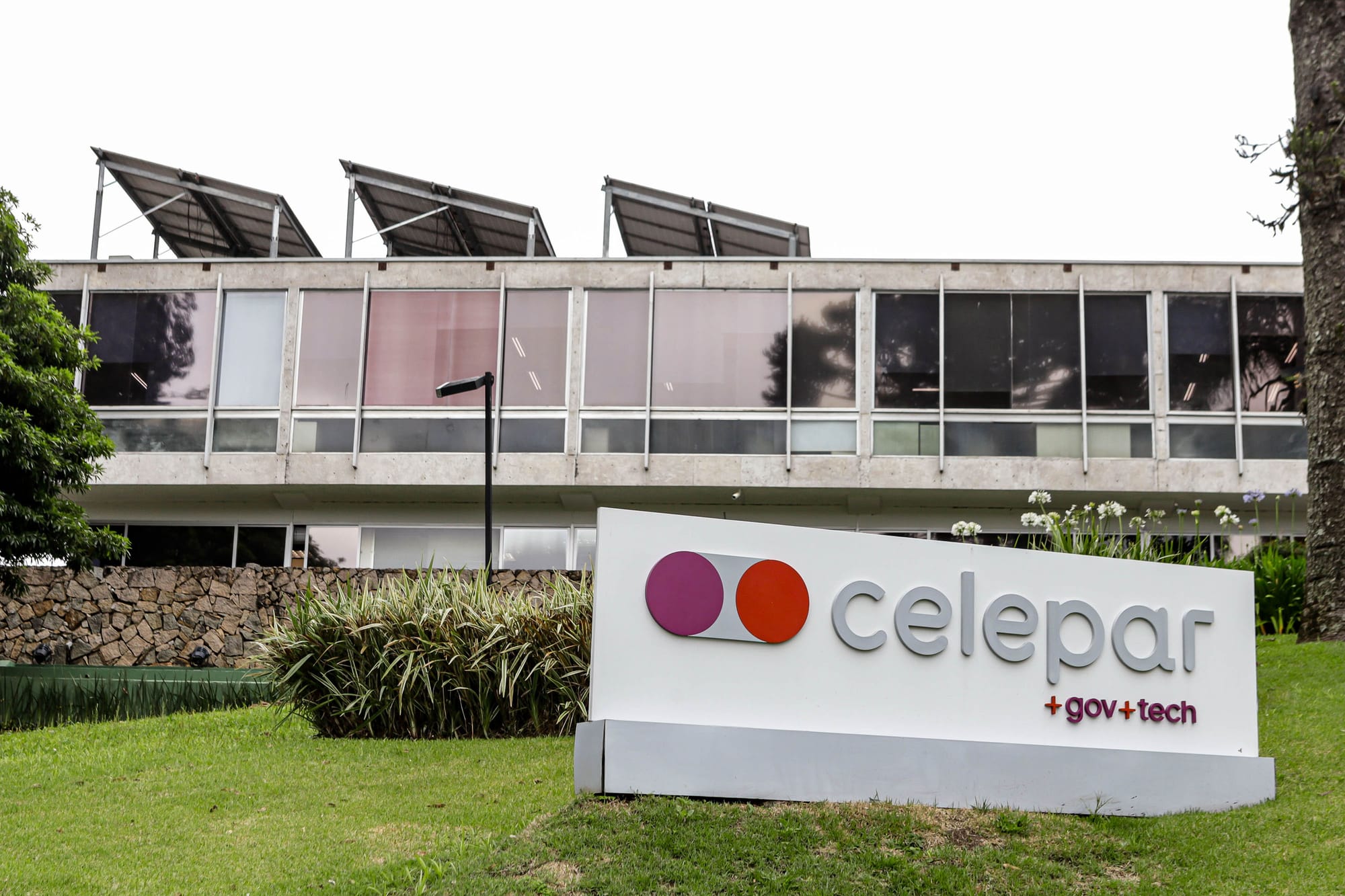 Via Celepar, Pimentel e prefeitos do PSD contratam empresa de sócio do irmão de Ratinho Jr
