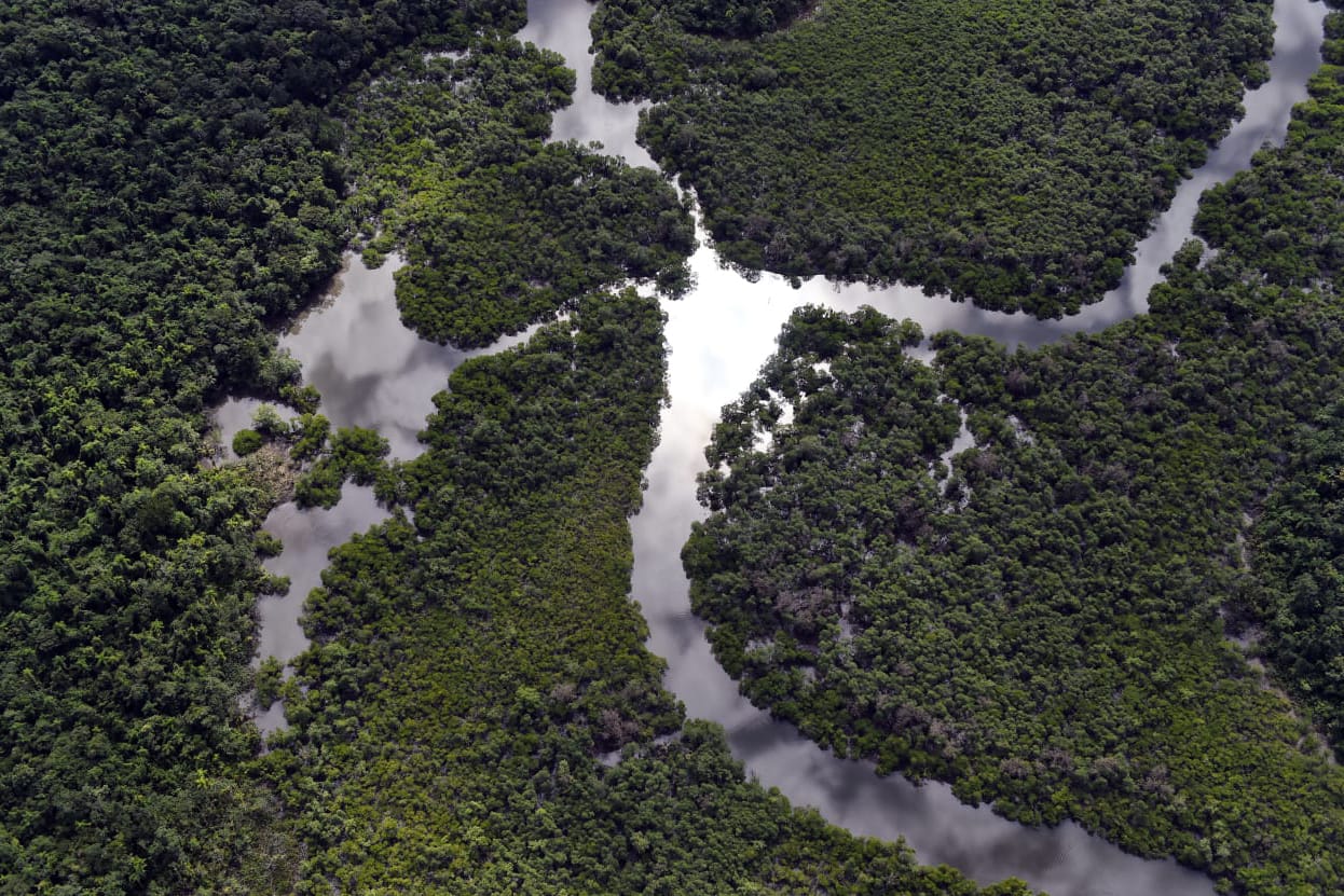 Proposta do novo Código Florestal do PR tem pontos em conflito com a Lei da Mata Atlântica