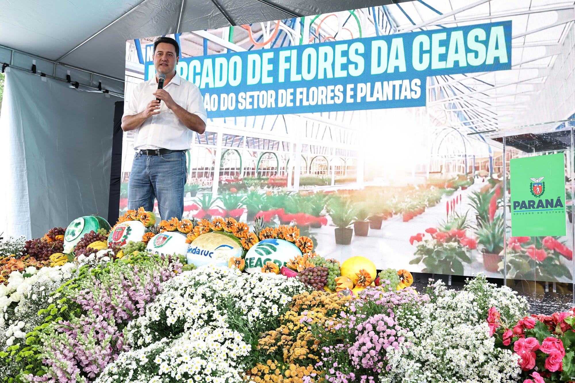 Com lucro de R$ 338 milhões em 2024, Celepar pode virar "problema para o bolso", diz Ratinho Jr