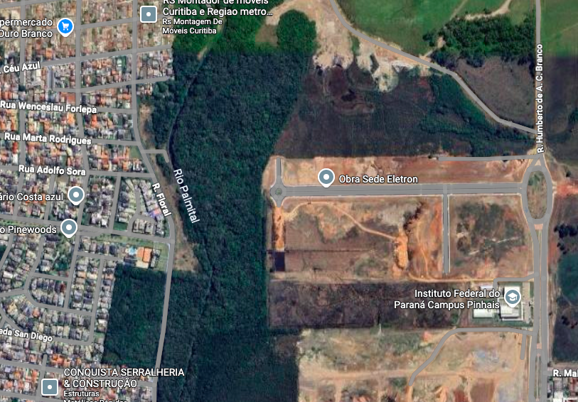 Vereadora questiona corte de 661 árvores em Pinhais