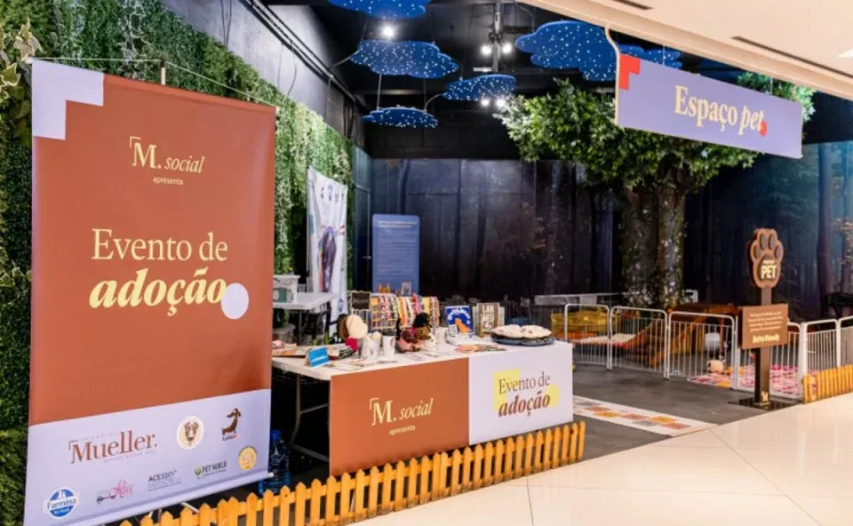 Shopping de Curitiba terá feira de adoção de cães e gatos