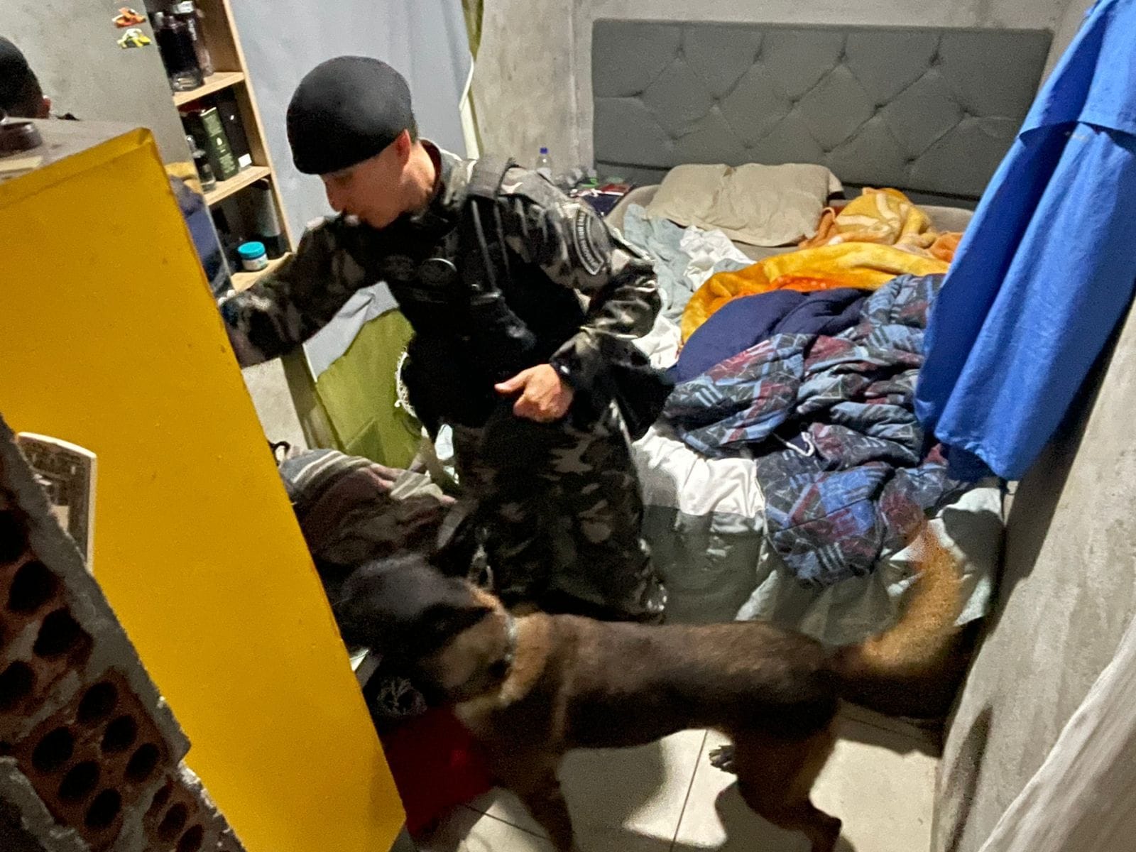policial com cão farejador