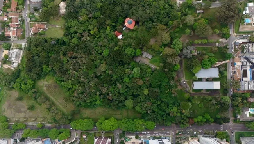 Conselho Municipal do Meio Ambiente rejeita apoio a tombamento do Bosque da Copel