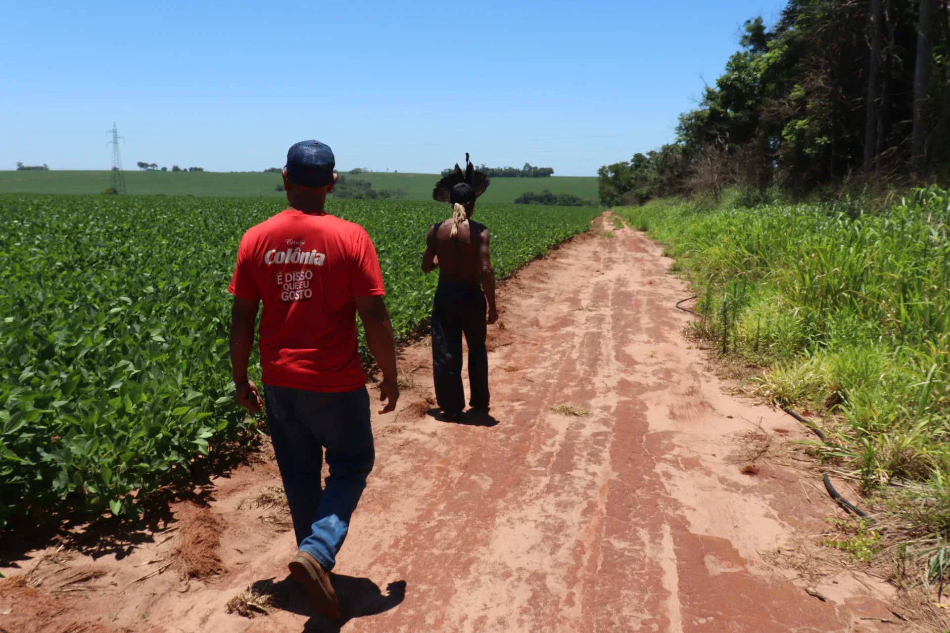 A descrença dos avá-guarani na Justiça é outro fardo carregado pelas comunidades que já sofrem com inúmeras injustiças. Foto: José Pires.