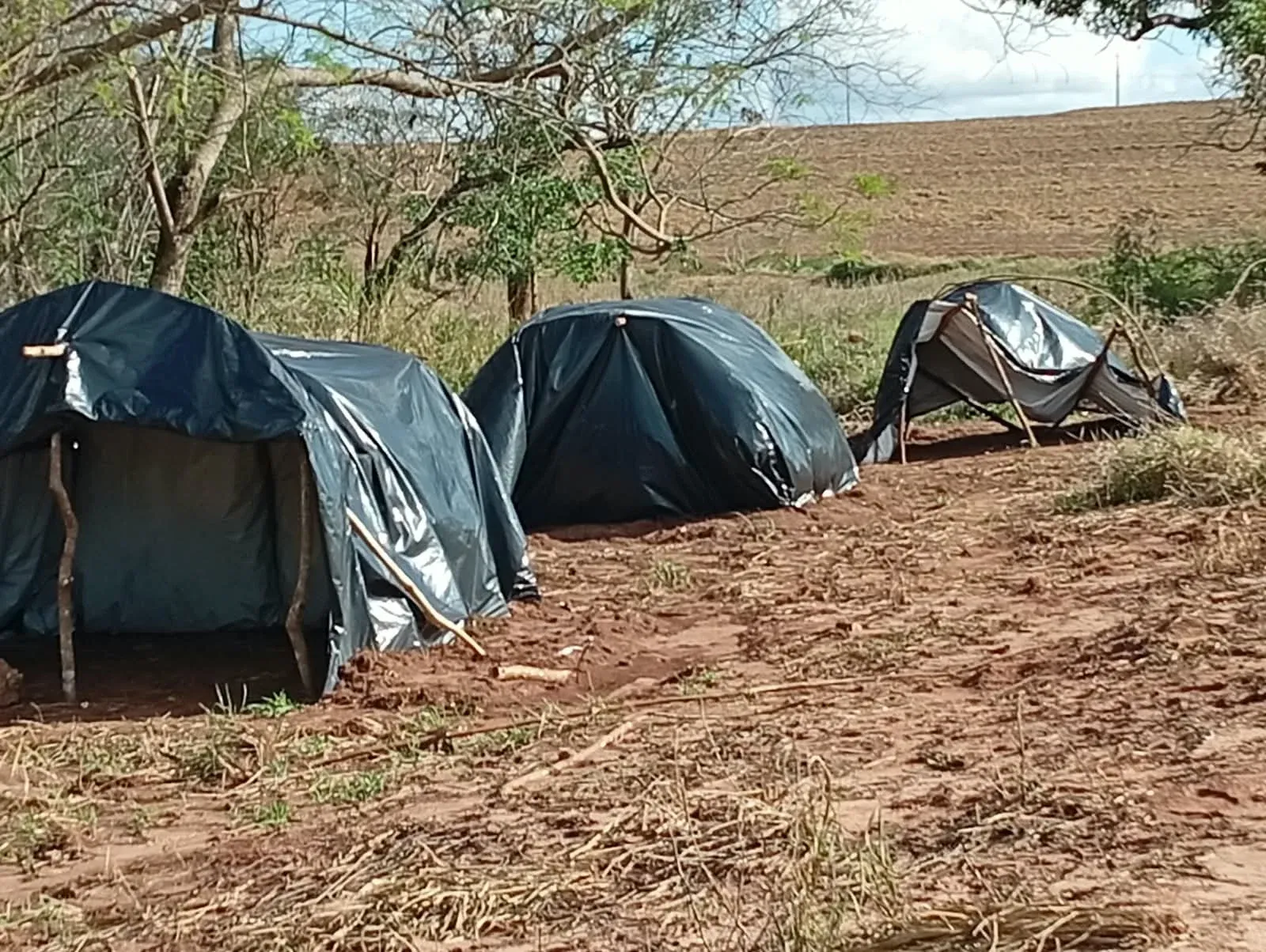 Precários barracos de lonas abrigam crianças e adultos na retomada. Foto: Colaboração.
