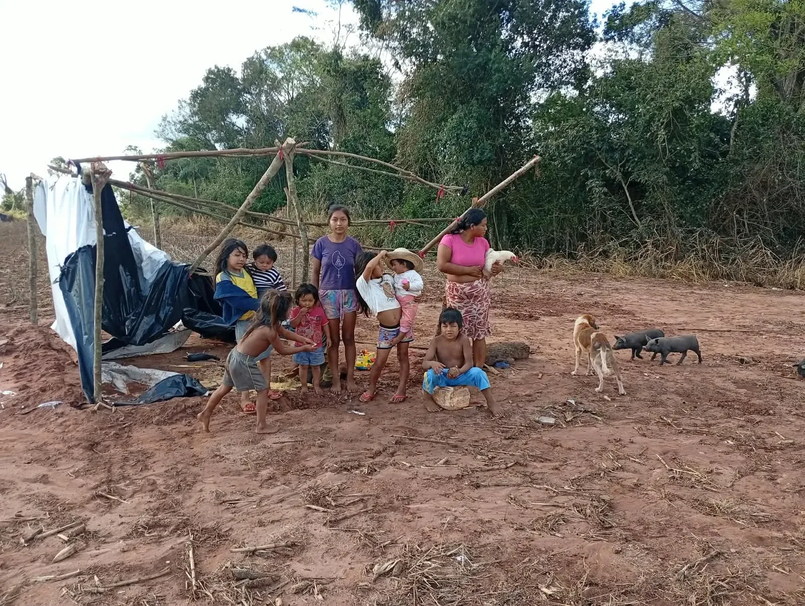 Famílias Avá-Guarani em uma retomada em Terra Roxa. Foto: Colaboração.
