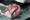 Pesquisadores da UTFPR desenvolvem o maior banco de biometria neonatal do mundo