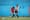 Con 12 partidos y 40 goles, la Suburbana sacude Curitiba entre la Serie A y el debut de la Serie B