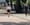 Por que não são permitidos cães e bicicletas no Passeio Público de Curitiba?