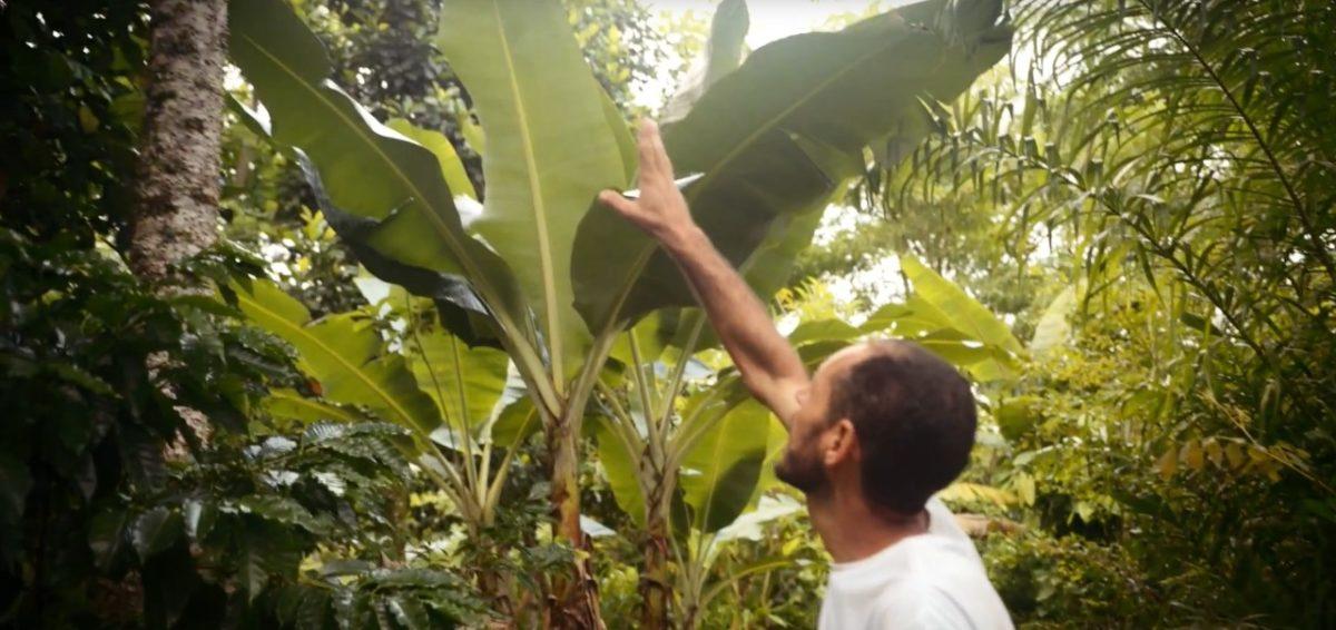 Ideias Sociais 01 - Agroecologia para matar a fome do mundo