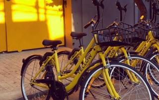 <a href=https://curitibadegraca.plural.jor.br/servico-de-locacao-de-bikes-e-patinetes-eletricos-sem-estacoes-fixas-chega-a-curitiba/>Curitiba já tem aluguel de bike e patinete sem estação fixa </a>