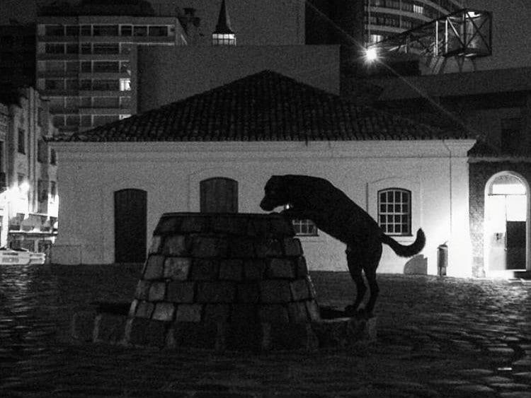 Ruas, noites e bares: a Curitiba de Edu Aguiar
