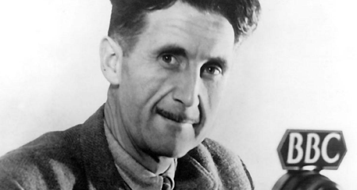 <a href=https://curitibadegraca.plural.jor.br/livre-se-quem-e-voce-em-a-revolucao-dos-bichos/>Como ler "A Revolução dos Bichos", de George Orwell</a>