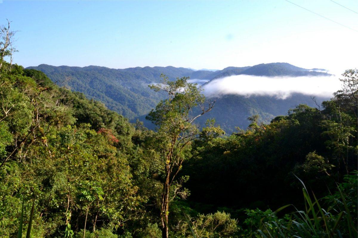 Parque Nacional pertinho de Curitiba vai sair do papel