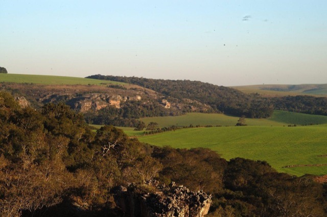Crime ambiental devasta Parque Nacional dos Campos Gerais