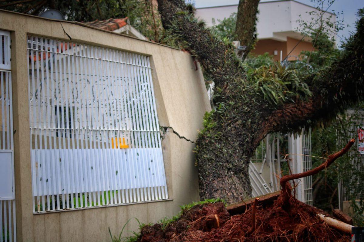 Chuva causa estragos, mas não há feridos nem desabrigados