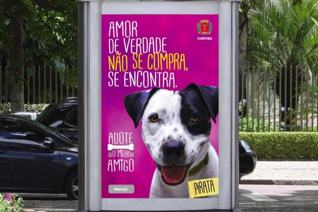 Prefeitura tentou trocar publicidade por ração. Ninguém quis