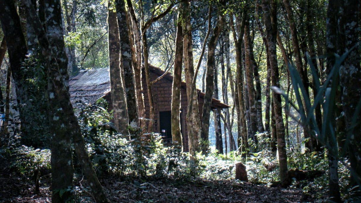 Terras indígenas equivalem a menos de 1% de todo o território paranaense
