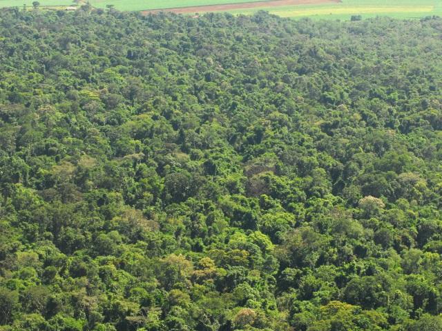 Estrada do Colono não existe mais, afirmam procuradores após sobrevoo